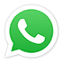 Live chat Whatsapp